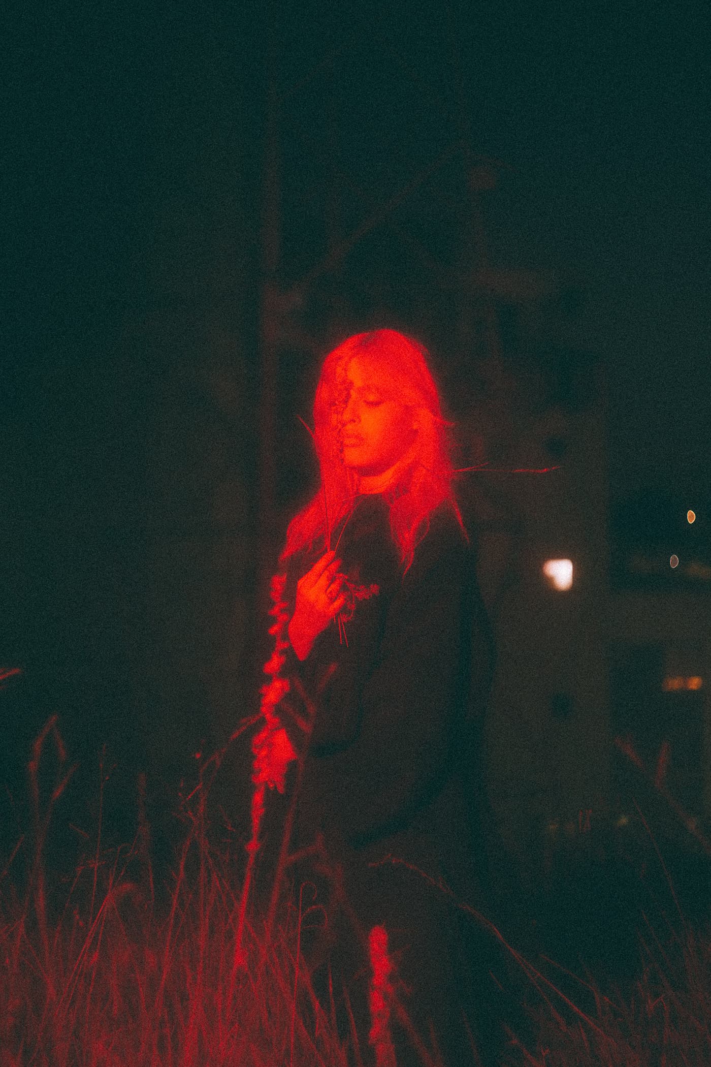 Nocturnal Muse