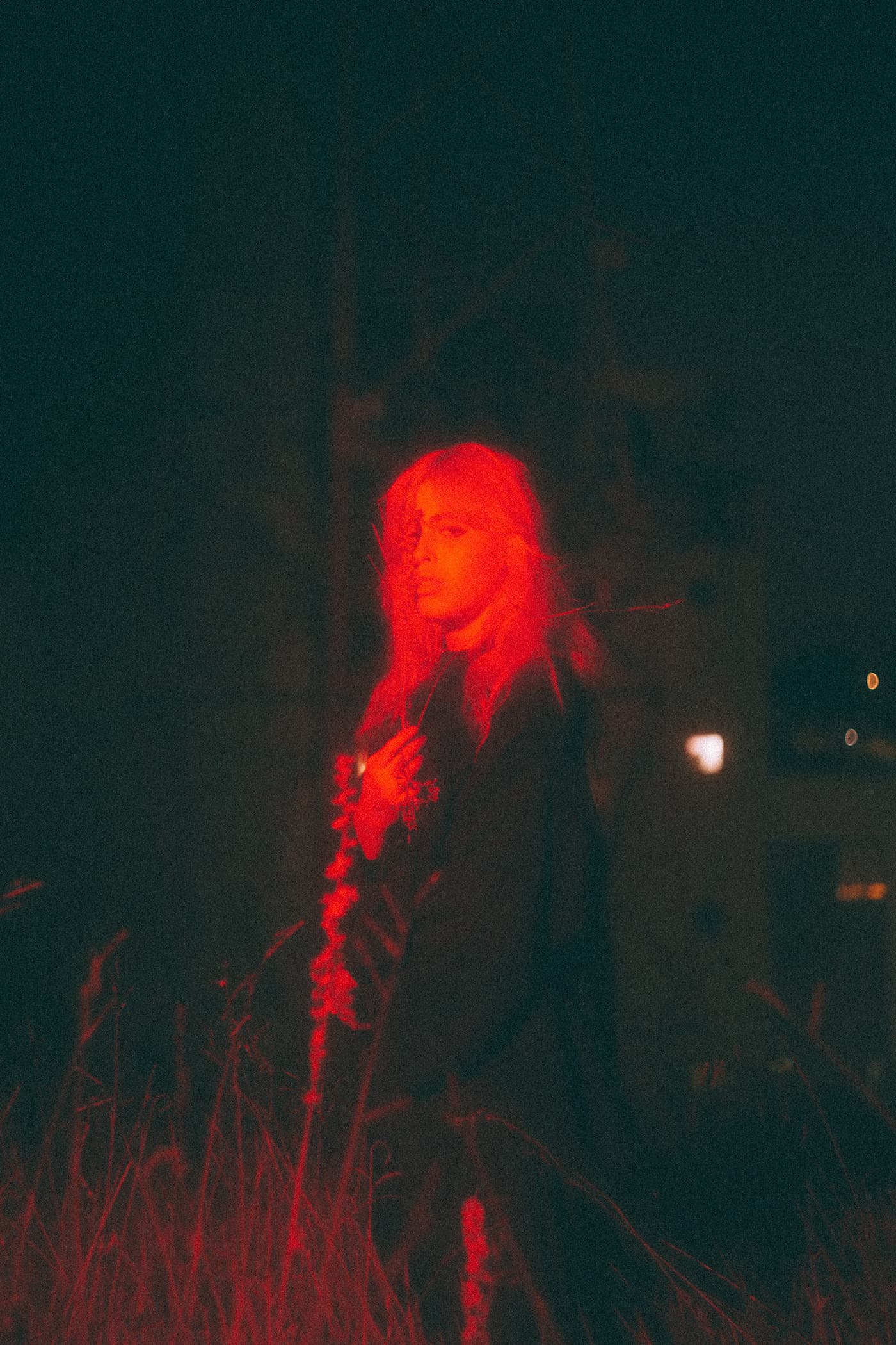 Starlight Gaze