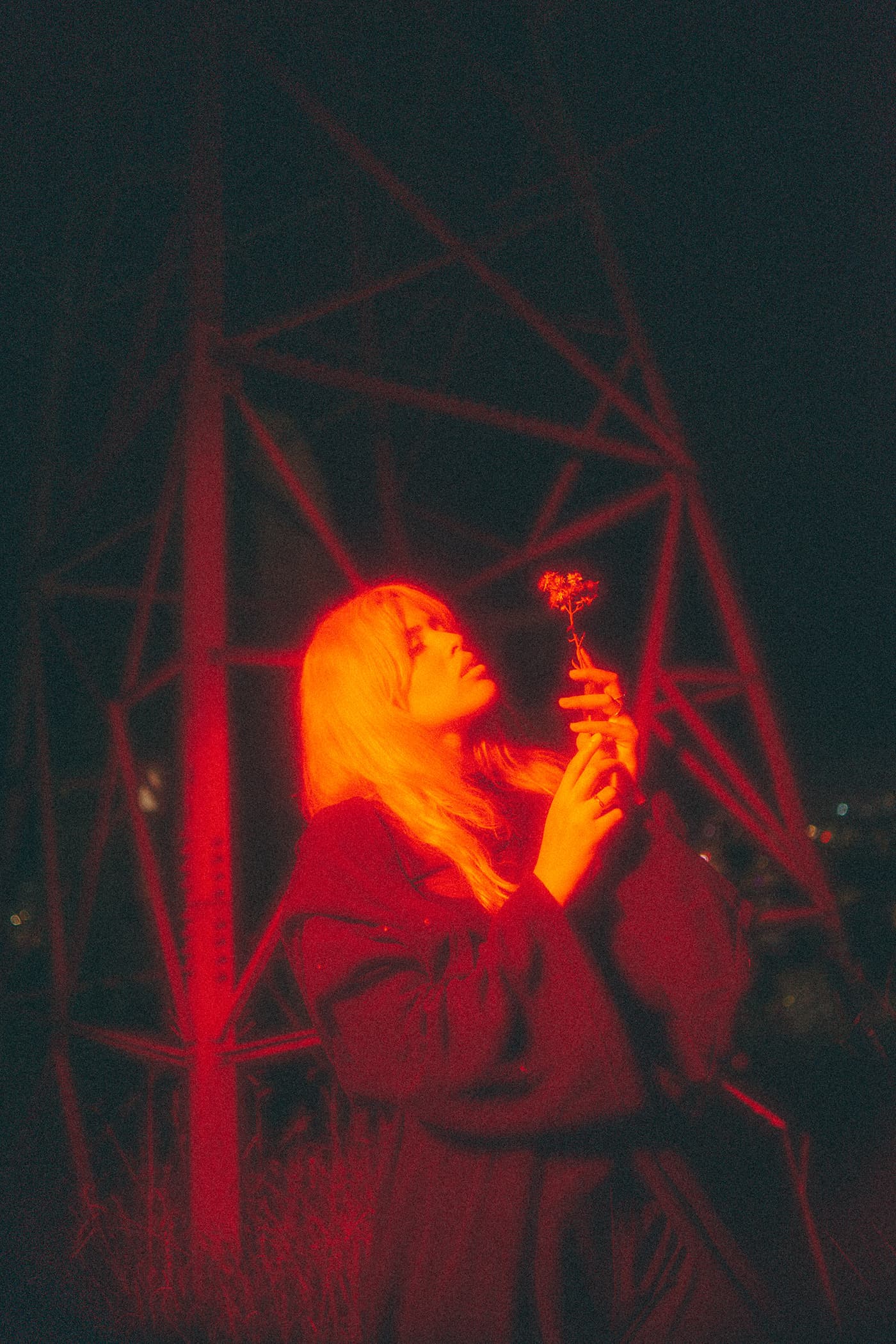 The Night Bloom