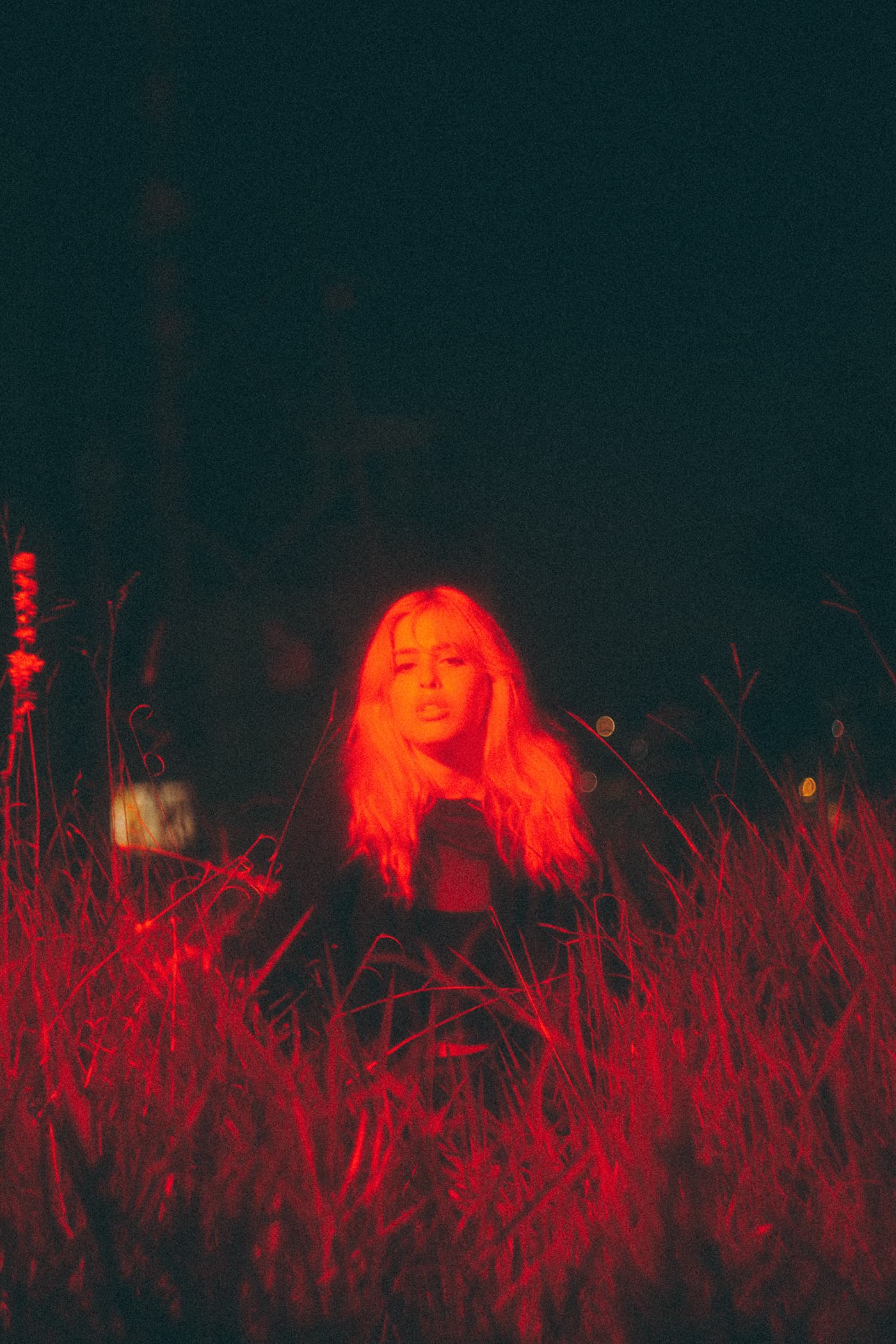 Field of Embers